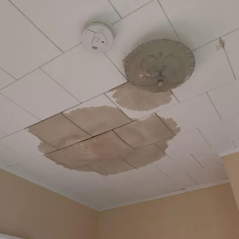 Ceiling Water Damage Repair in Fredericksburg, PA