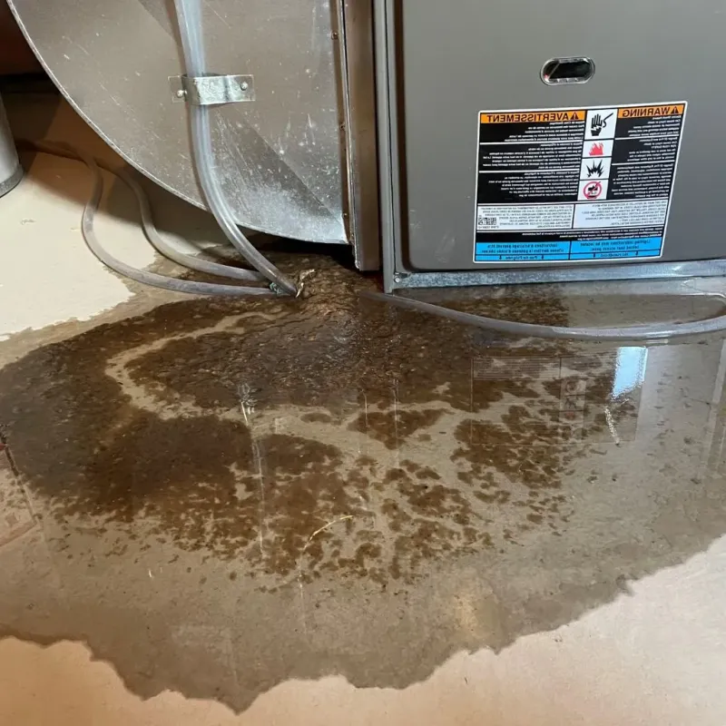Pipe Burst and Leak Restoration in Fredericksburg, PA