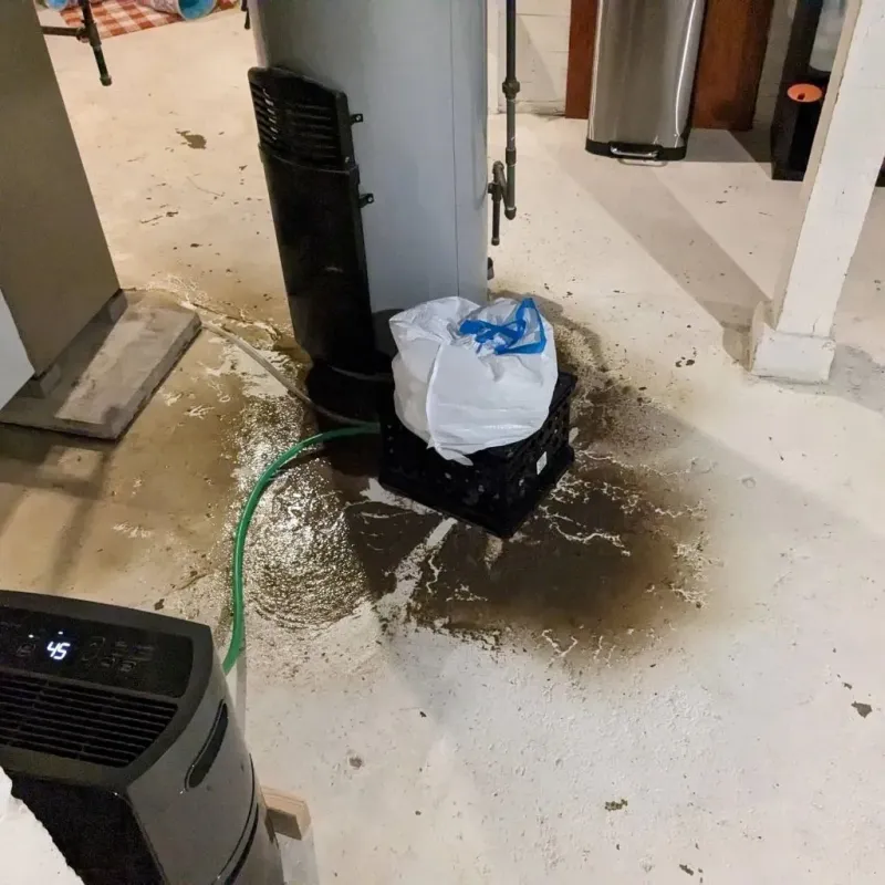 Sewage Backup Cleanup Service in Fredericksburg, PA